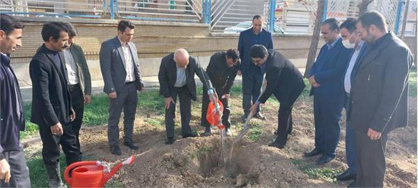 کاشت چهار اصله نهال در هفته درختکاری