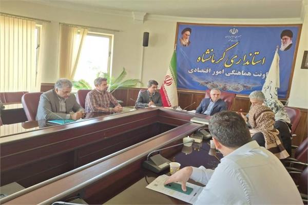 چهاردهمین نشست کارگروه اقتصاد دیجیتال در کرمانشاه برگزار شد