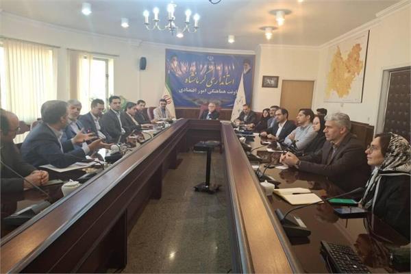 برگزاری جلسه کارگروه توسعه اقتصاد دیجیتال استان کرمانشاه
