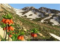 قله شاهو کرمانشاه